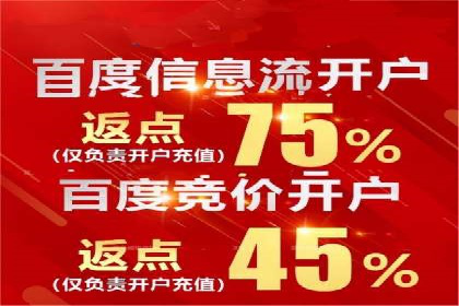 探索百度推广代运营公司的服务模式与优势